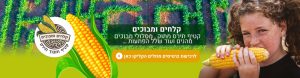 אטרקציות בצפון