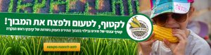 אטרקציה בצפון