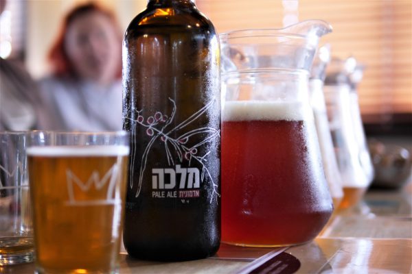 סיור בצפון